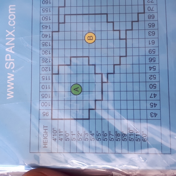 Spanx power panties brand new in package - Picture 3 of 3